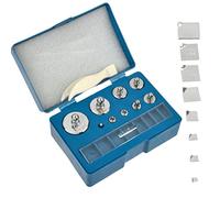 Calibration Weights Set 17PCS 10mg-100g Weight Scale Calibration Gram Scale Weights Calibration Scale Calibration Weight Stainless Steel for Micro Scales Balance Scale Digital Pocket Scales Jewellery