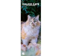Calico Cats 2026 Wall Calendar, 12-Month Slim Format, Made in England