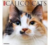 Calico Cats 2026 Wall Calendar
