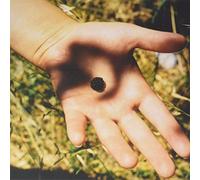 Calicos - The Soft Landing [VINYL]