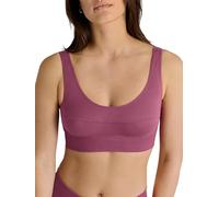 CALIDA Women's Elastic Bra, Opaque, Violet Quartz, 36-38