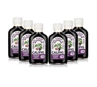 Califig Syrup of Figs | Six pack | Natural Digestive Aid | Vegan | With Fig Extract | Helps Maintain Regularity | 6 X 100 ml