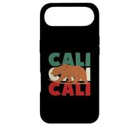 California Bear Cali Surfing Bear Retro Surf Vintage 70s 80s Case for iPhone Air