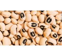 California Black-Eye (COWPEAS) Seeds Bean-Bush Black-Eye Beans