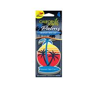 California Car Scents AC CS AMBIENTADOR COCHE Palmera Papel 4UDS COCHE Nuevo