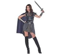 California Costumes 01419 Lady Knight Adult Costume Character Sized, Multi-Colored, S