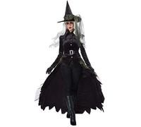 California Costumes 01428L Gothic Witch Character Adult Sized Costumes, Solid, Black, Large