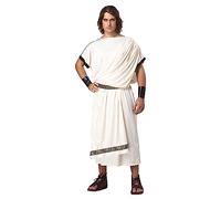 California Costumes 1126 Men's Deluxe Classic Toga Greek/Roman Adult-Sized Costume, Solid, White, One