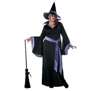 California Costumes 1646-Black/Purple-2XL (18-20) Witch/Wizard Adult-sized Costume, Solid, Black, XXL