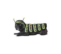 California Costumes Caterpillar Dog Costumes, Pet, Green/Black, Extra Small