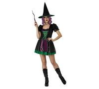 California Costumes, Women's Black Shimmer Witch, Black/Purple, S