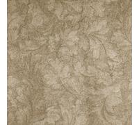 California Dreams Luxury Cut & Loop Pile Carpet By Remland (Country Beige, 5M X 4M)