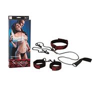 California Exotics Scandal Submissive Kit