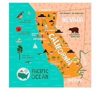 California Map Tapestry for Classroom, Social Studies and California History Decor, Educational State Wall Hanging for Teachers, Landmarks Cities Wildlife Fun Facts, 62x60 in, Birdy Boutique
