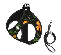 California Poppies, Summertime Flowers No Pull Dog Harness and Leash Set, Cute Reflective Adjustable Vest for Small Dogs,Breathable Mesh Puppy Harness for Walking Hiking,Medium
