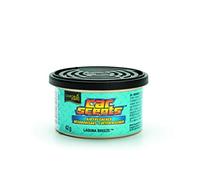 California Scents E301412500 Air freshener-Laguna Breeze-Can 42gr