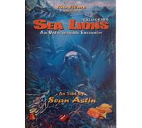 California Sea Lions...an Unforgettable Encounter