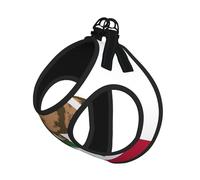 California State Flag Print Adjustable Harness Leash Set For Cats And Dogs, Soft Breathable Kitten Puppy Mesh Vest With Reflective Design, Escape-Proof Lead For Small Pets Walking Training