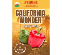 California Wonder Sweet Pepper Seeds - 20 Fresh Seeds