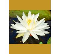 Call Me Resilient: A Life of Courage, Clarity, and Compassion