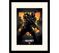 Call of Duty: Black Ops 4 (Trio Mounted & Framed 30 x 40cm Print