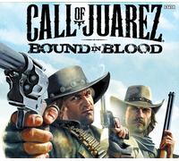 Call of Juarez: Bound in Blood EU Ubisoft Connect CD Key