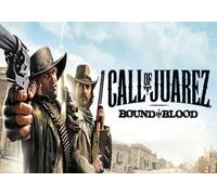 Call of Juarez: Bound in Blood (PC) Ubisoft Connect Key - GLOBAL