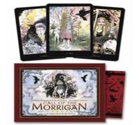 Call of the Morrigan Oracle Karen Storminger Kit Llewellyn Public
