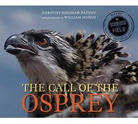 Call of the Osprey (Scientists in the Field (Paperback))