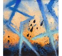 Call Super Suzi Ecto (Vinyl) 12" Album (US IMPORT)
