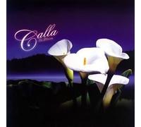 Calla - Calla Is Now in Bloom