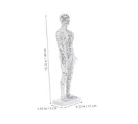 CALLARON Human Acupuncture Model Male Educational Simulation Body Model with Precise Pressure Point Mapping Realistic Meridian Visualization for Traditional Chinese Medicine Teaching