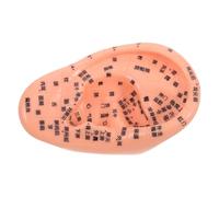 CALLARON Human Ear Acupuncture Model for Traditional Chinese Medicine Ear Acupoint Massage Simulator for Easy Self-Care and Learning Ergonomic Safe Materials for Home Use