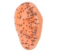 CALLARON Realistic Ear Model for Acupressure and Reflexology Ear Acupuncture Points Teaching Aid for Chinese Nursing Training and Massage Practice