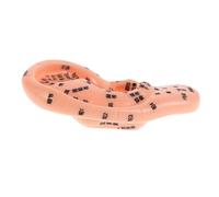CALLARON Soft Silicone Ear Acupunctures Model Human Ear Part for Teaching Clinical Application