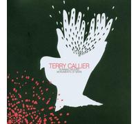 Callier Terry - Callier Terry