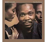 Callier,Terry - Turn You to Love [Vinyl LP] [VINYL]