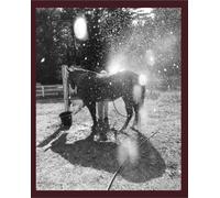 Calling the Bird Home