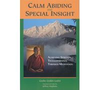 Calm Abiding and Special Insight: Achieving Spiritual Transformation through Meditation (Textual Studies and Translations in Indo-Tibetan Buddhism)