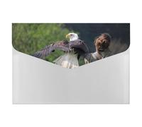 Calm Black Eagle Portable File Organizer with Multiple Pockets, Accordion Expanding Folder for Desk Supplies