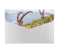 Calm Russet Ibex Pair Portable File Organizer with Multiple Pockets, Accordion Expanding Folder for Desk Supplies