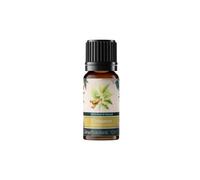Calmer Solutions Cinnamon Leaf Essential Oil 10ml - 100% Pure & Natural Steam Distilled Cinnamomum Verum Oil - Warm Spicy Aroma for Diffuser, Aromatherapy & Home Fragrance - UK Bottled Essential Oil