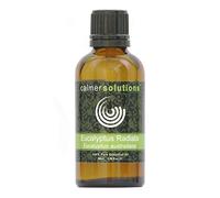 Calmer Solutions Eucalyptus Radiata Essential Oil 50ml - 100% Pure & Natural - Gentle Aromatherapy Oil for Diffuser, Inhalation & Massage