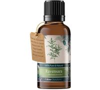 Calmer Solutions Ravensara Essential Oil 30ml - 100% Pure & Natural Steam Distilled Ravensara Aromatica Oil - UK Made Fresh Camphorous Herbal Aroma for Diffuser, Aromatherapy & Home Fragrance