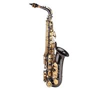 CalmGeek Saxophone Eb E-flat Alto Saxophone Sax Nickel-Plated Brass Body with Engraving Nacre Keys Woodwind Instrument with Carry Case Polishing Cloth Brush Sax Neck Straps