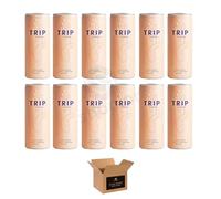 Calming Drink for Adults | 120mg Magnesium with Lion’s Mane, Chamomile & Lemon Balm | Low Calorie, No Sugar, Vegan Wellness Beverage | Relaxation & Stress Relief (Pack 12, Peach Ginger)