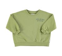 Calming Storm Organic Cotton Sweatshirt Sage 6 months