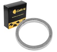 Caltric Muffler Pipe Gasket Compatible with Yamaha Blaster 200 Yfs200 1988-2006