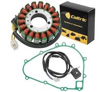 Caltric Stator & Gasket Compatible with Kawasaki Bayou 300 Klf300C Klf 300C 4X4 1989 1990 1991 1992-2005
