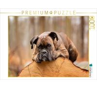 CALVENDO Puzzle Der Boxer und das Holz der Zeit | 1000 Teile Lege-Größe 64x48cm